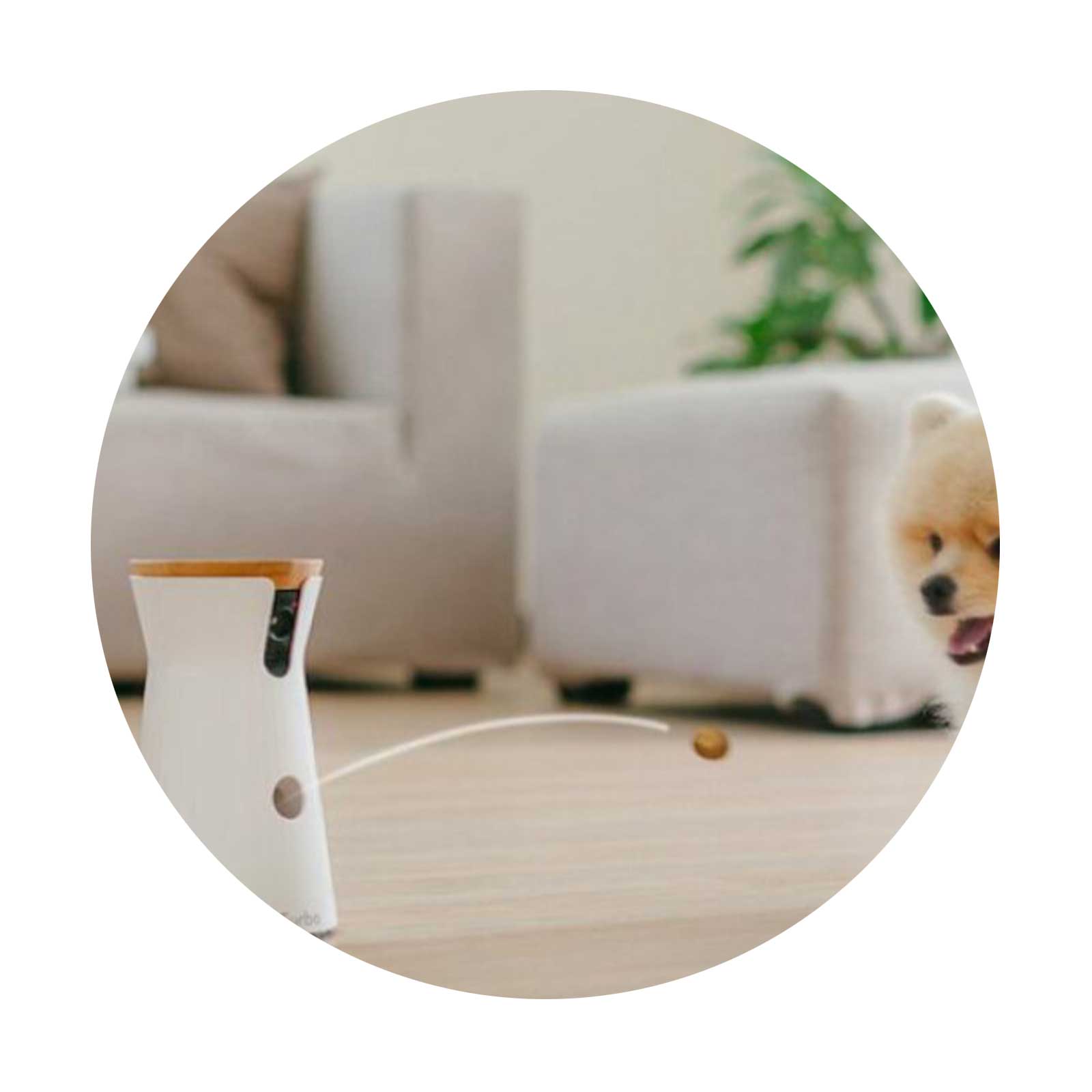 smart home
