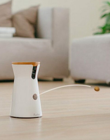 smart home