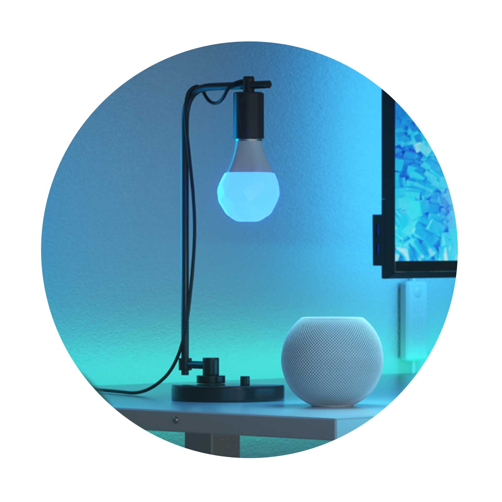 smart home