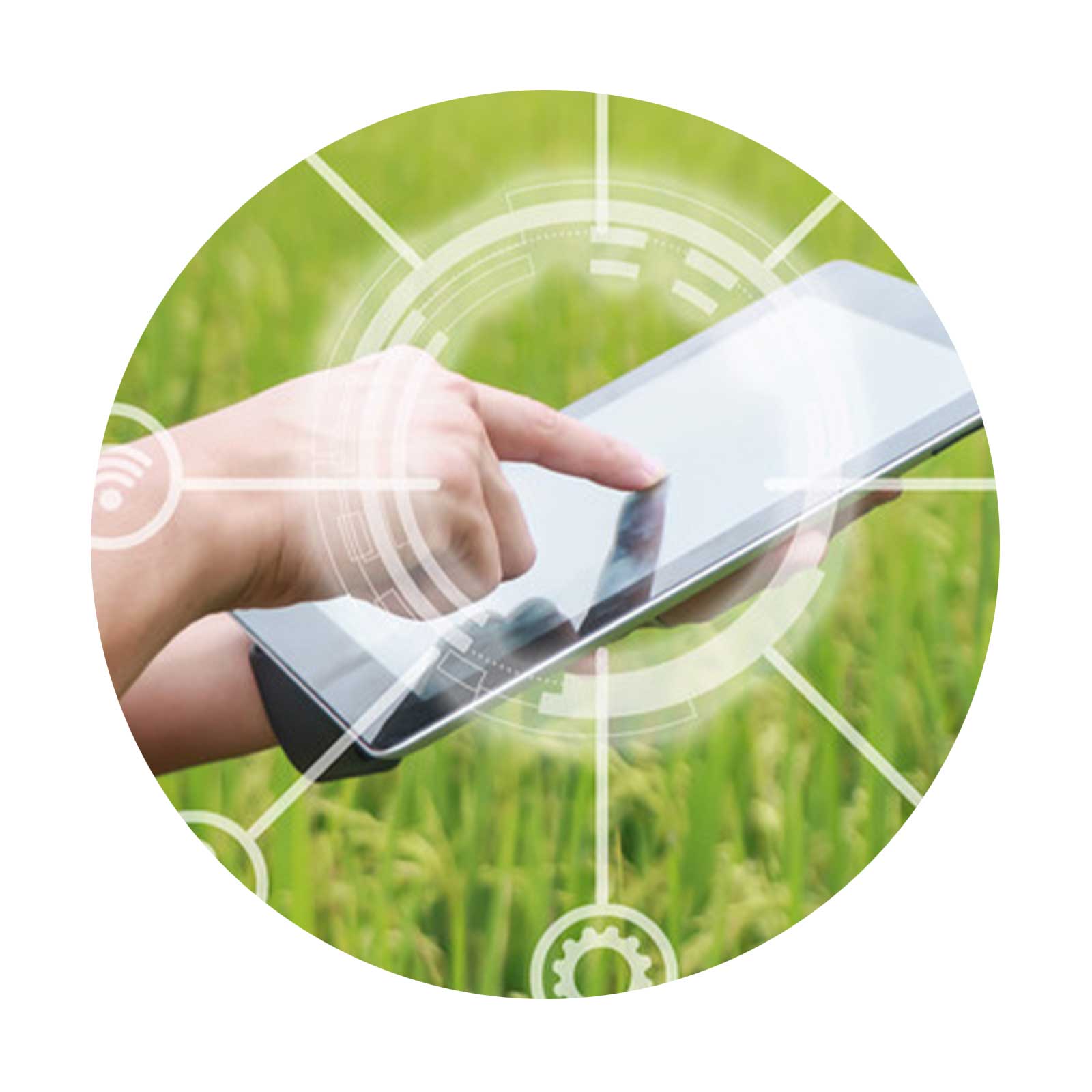 smart home